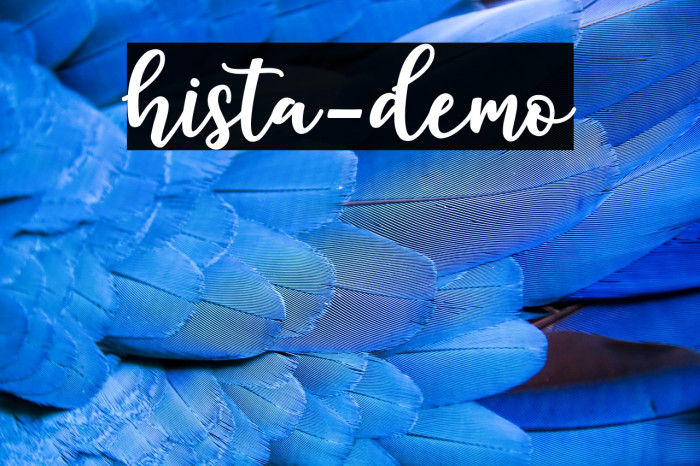 hista-demo Example 2