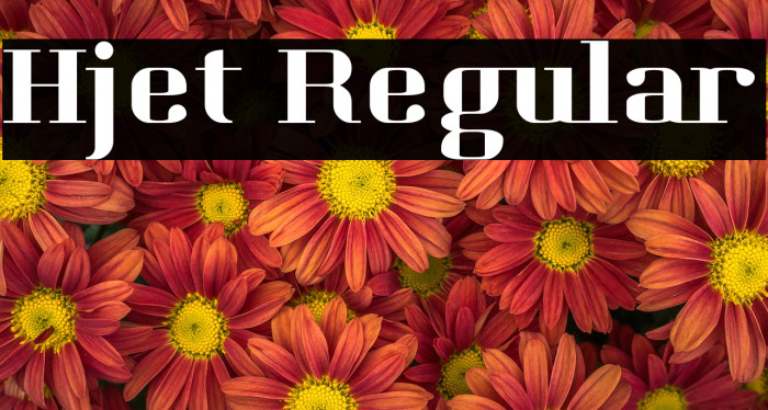 Hjet Regular Example 1