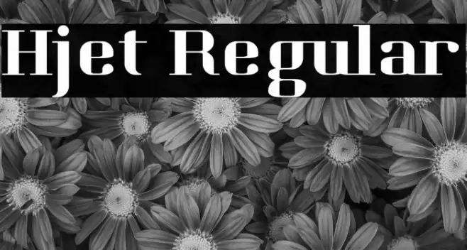 Hjet Regular Font examples