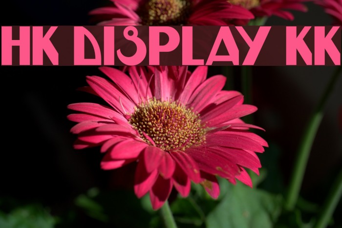 HK DISPLAY KK Example 2