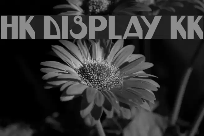HK DISPLAY KK Font examples