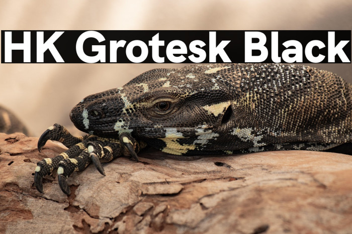 HK Grotesk Black Example 1