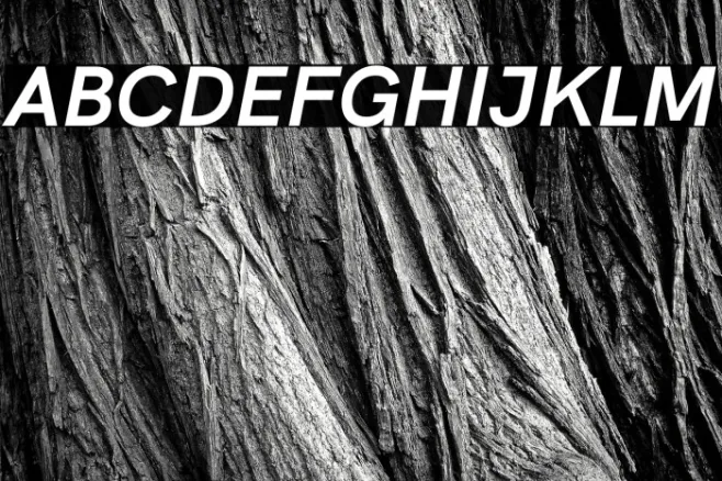 HK Grotesk Bold Italic Example 3