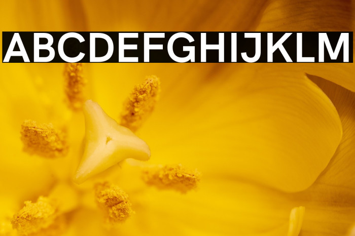 HK Grotesk Bold Example 1