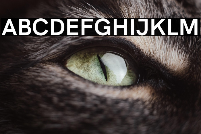 HK Grotesk Bold Example 2