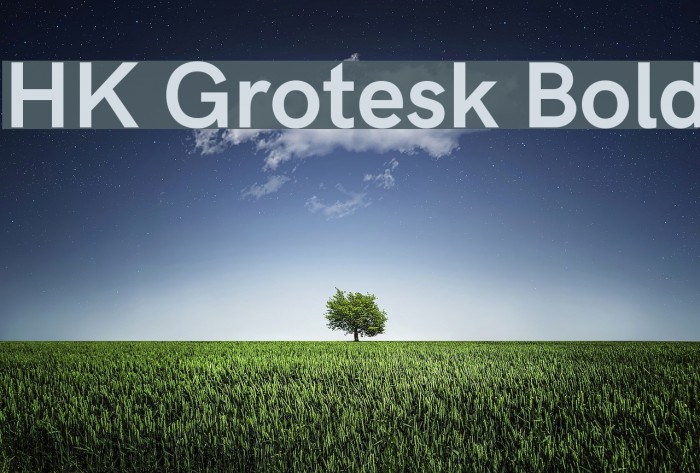 HK Grotesk Bold Font examples