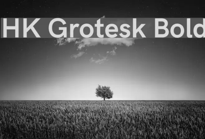 HK Grotesk Bold Font examples