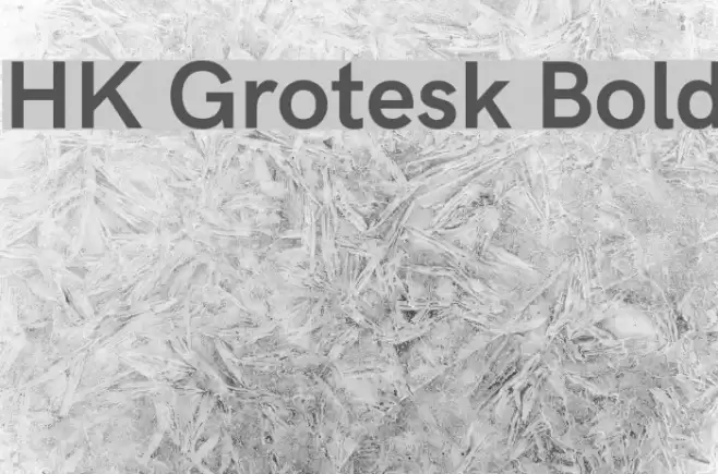 HK Grotesk Bold Font examples