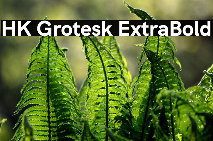 HK Grotesk ExtraBold Example 2