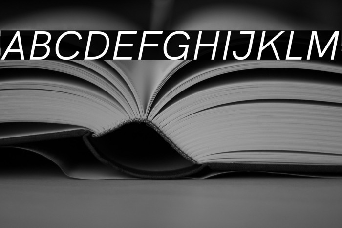 HK Grotesk Italic Example 1