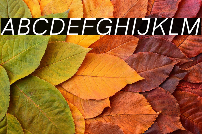 HK Grotesk Italic Example 2