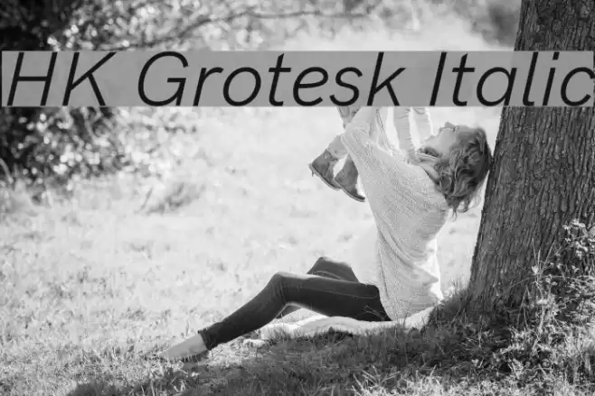 HK Grotesk Italic Font examples