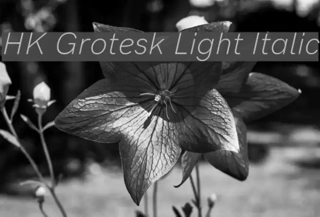 HK Grotesk Light Italic Font examples