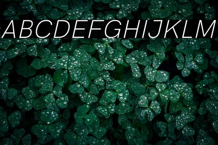 HK Grotesk Light Legacy Italic Example 3