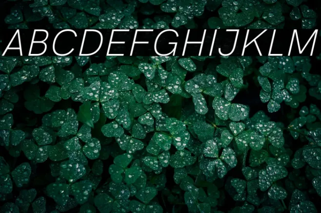 HK Grotesk Light Legacy Italic Example 3