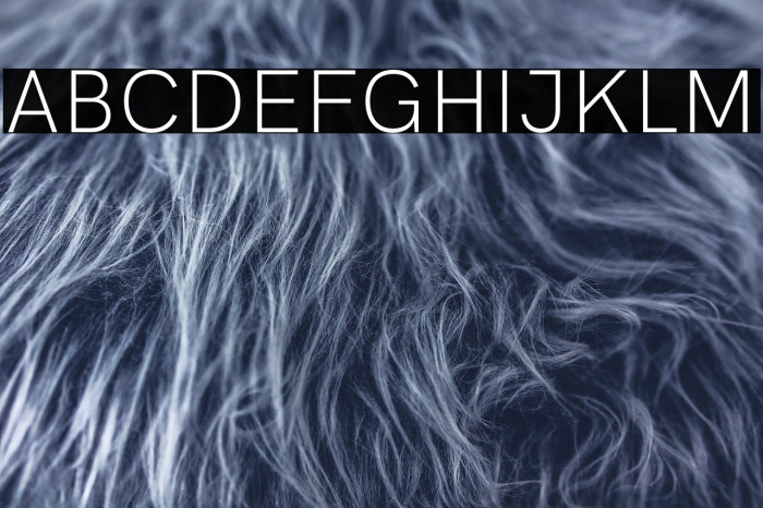 HK Grotesk Light Example 2