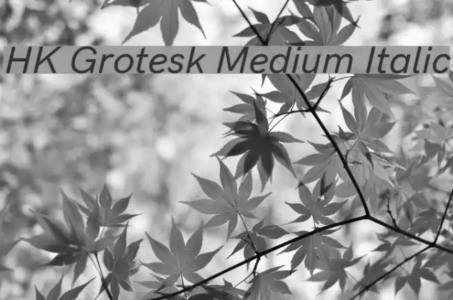 HK Grotesk Medium Italic Font examples