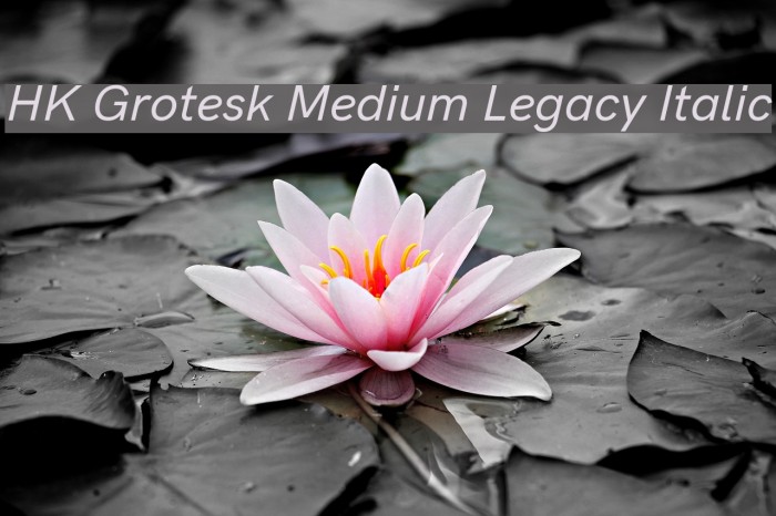 HK Grotesk Medium Legacy Italic Font examples