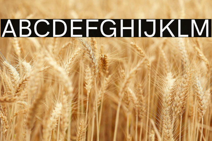 HK Grotesk Medium Legacy Example 2