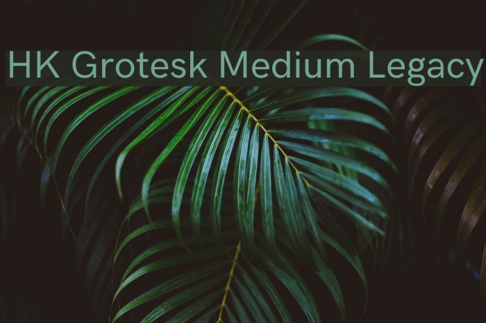 HK Grotesk Medium Legacy Example 3