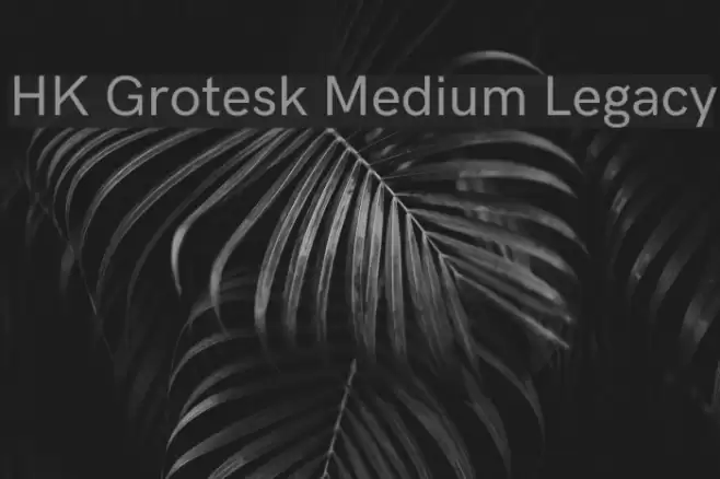 HK Grotesk Medium Legacy Font examples