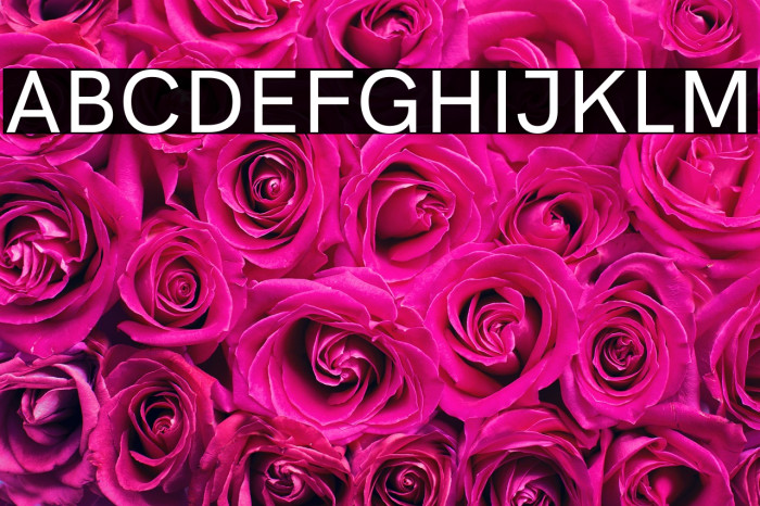 HK Grotesk Medium Example 1