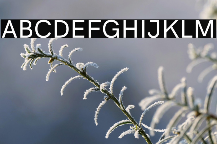 HK Grotesk Medium Example 3