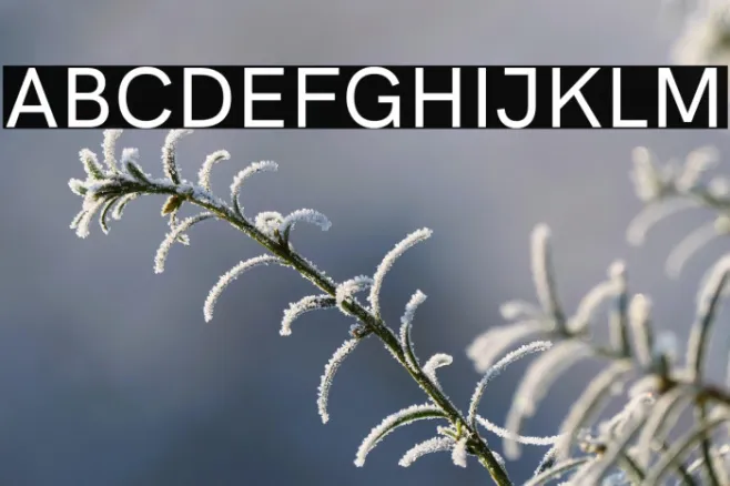 HK Grotesk Medium Example 3
