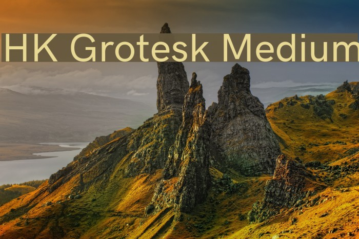 HK Grotesk Medium Font examples