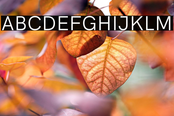 HK Grotesk Regular Example 3