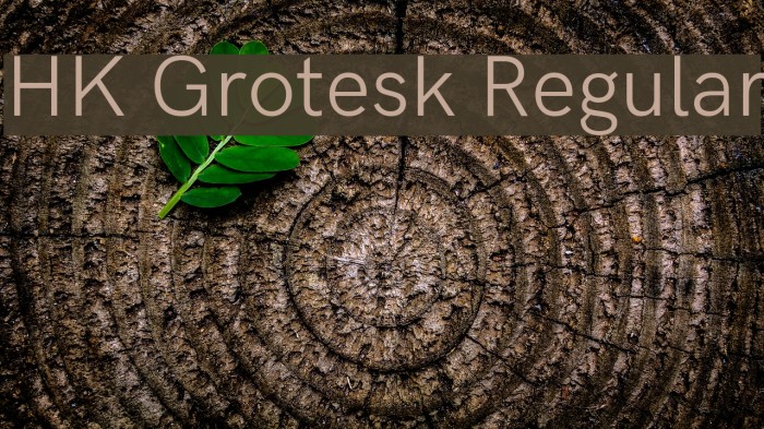 HK Grotesk Regular Example 2