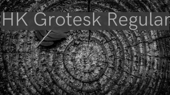 HK Grotesk Regular Font examples