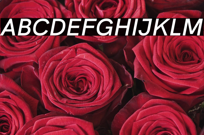 HK Grotesk SemiBold Italic Example 1