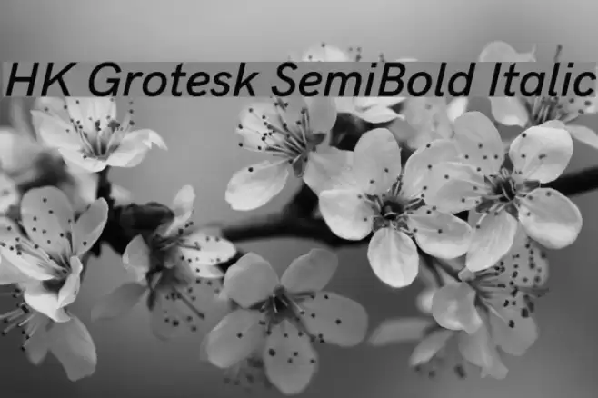 HK Grotesk SemiBold Italic Font examples
