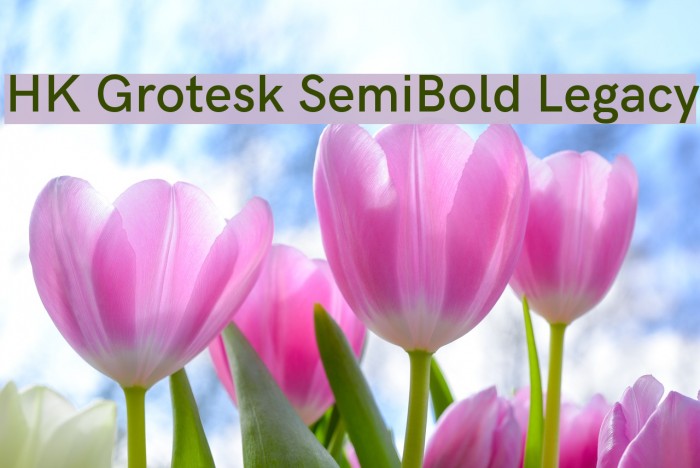 HK Grotesk SemiBold Legacy Font examples