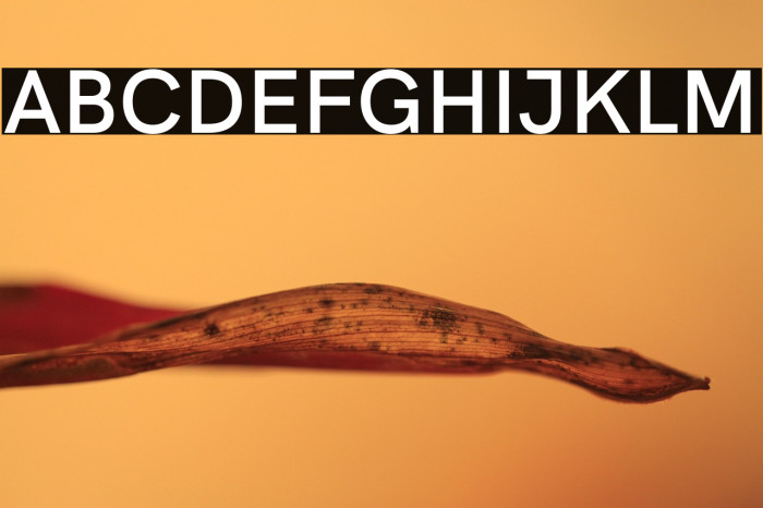 HK Grotesk SemiBold Example 3