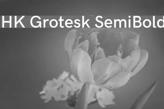 HK Grotesk SemiBold Font examples
