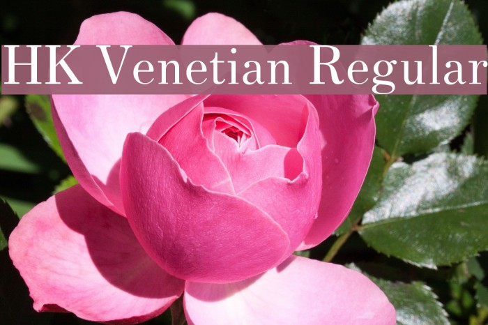 HK Venetian Regular Font examples