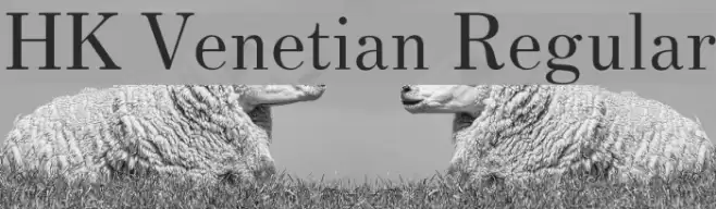 HK Venetian Regular Font examples