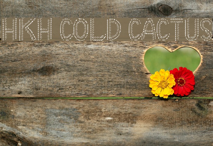 HKH Cold Cactus Font examples
