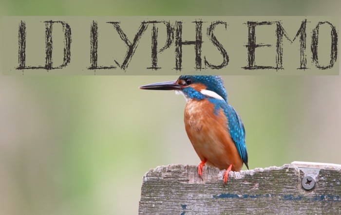 HKH Old Glyphs Demo Font examples