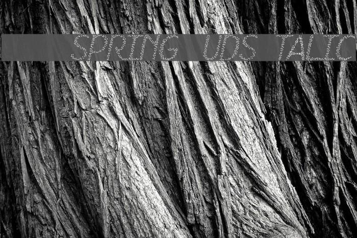 HKH Spring Buds Italic Font examples