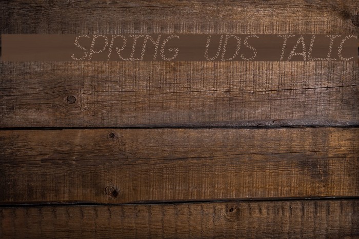 HKH Spring Buds Italic Font examples