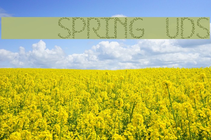 HKH Spring Buds Font examples
