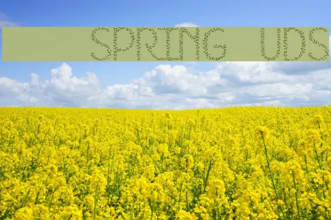 HKH Spring Buds Example 3