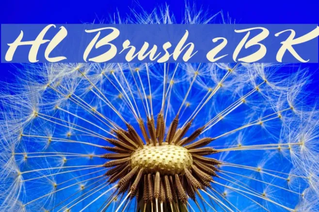 HL Brush 2BK Example 1