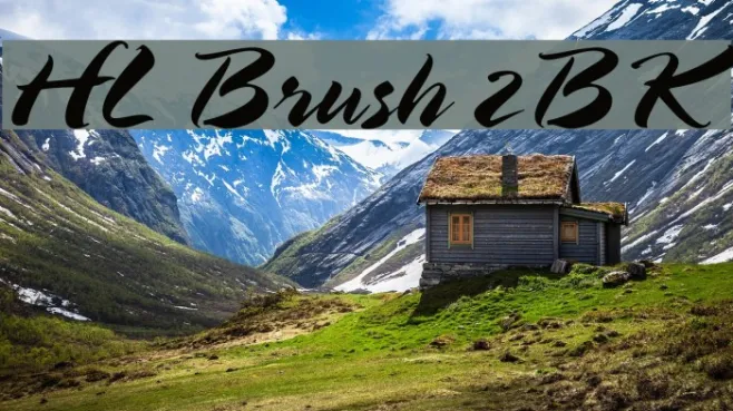 HL Brush 2BK Example 3