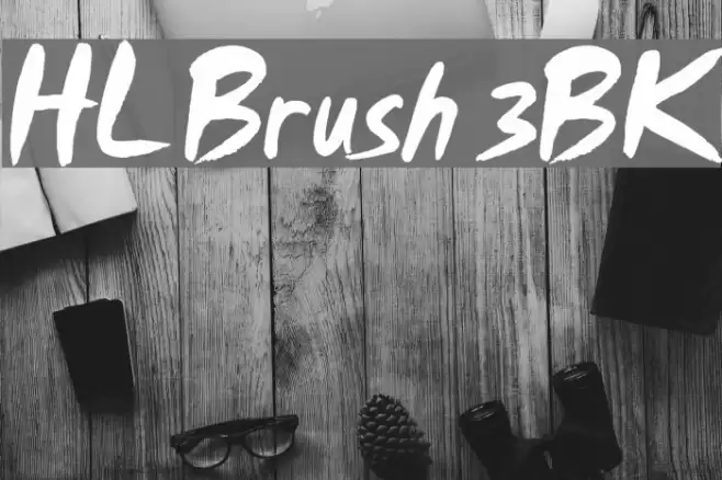 HL Brush 3BK Font examples