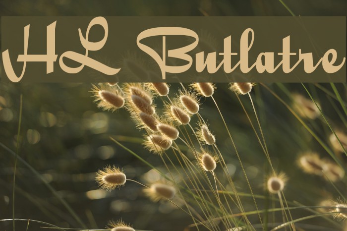 HL Butlatre Font examples