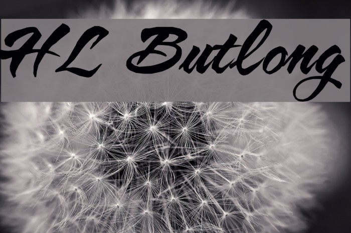 HL Butlong Font examples